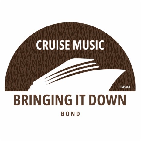 Bringing It Down (Radio Edit) | Boomplay Music
