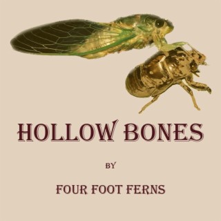 Hollow Bones