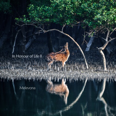 Sundarbans Piano | Boomplay Music