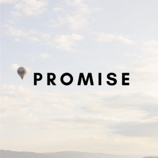 Promise