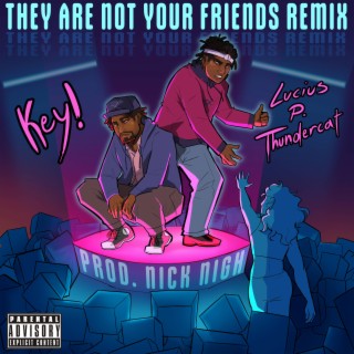 They are not your Friends (Remix)