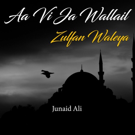 Aa Vi Ja Wallail Zulfan Waleya | Boomplay Music