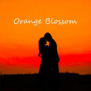 Orange Blossom