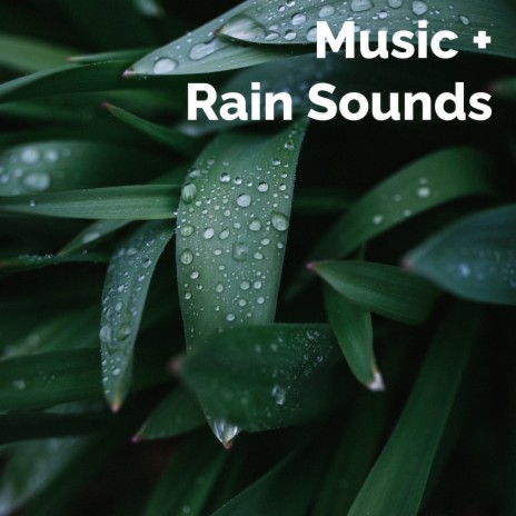 Calming Music 432 Hz With Rain Sounds With Rain, Pt. 25