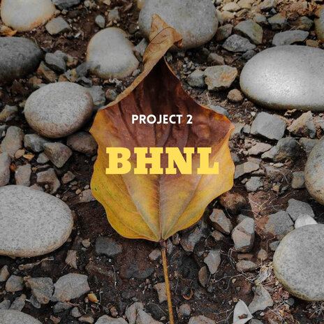 B.H.N.L | Boomplay Music