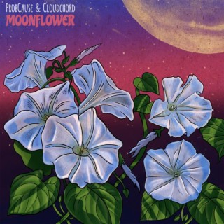 Moonflower