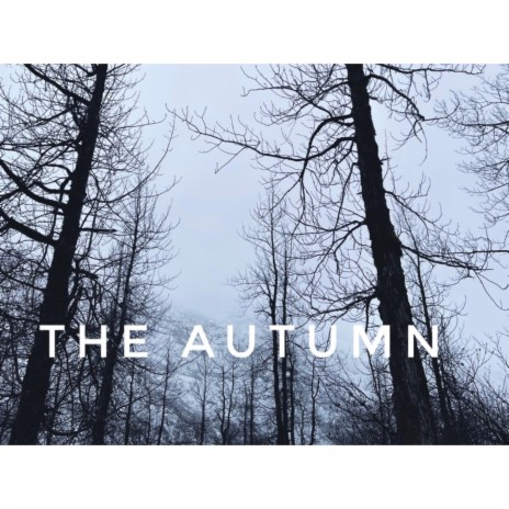 The Autumn | Boomplay Music