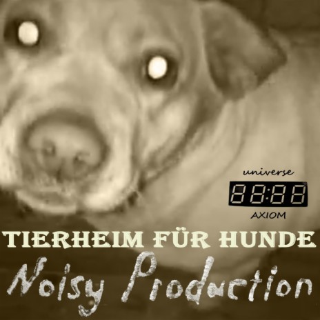 Tierheim für Hunde - Rabies (Version 2) | Boomplay Music