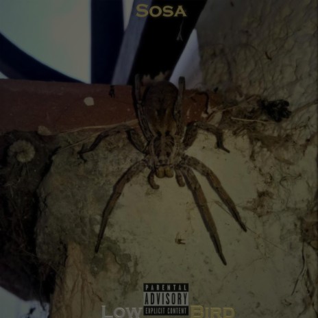 SOSA ft. Low Music | Boomplay Music