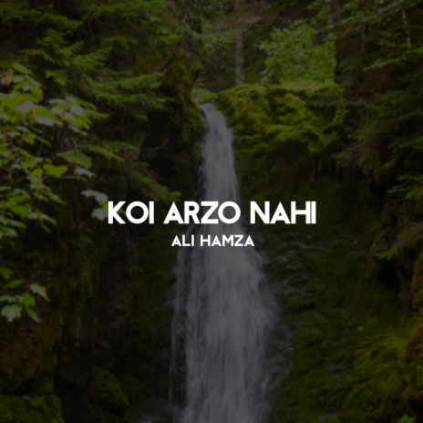 Koi Arzo Nahi | Boomplay Music