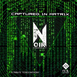 Captured In Matrix (A Tribute To Rexanthony)