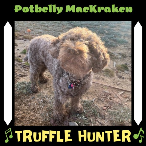 Truffle Hunter | Boomplay Music