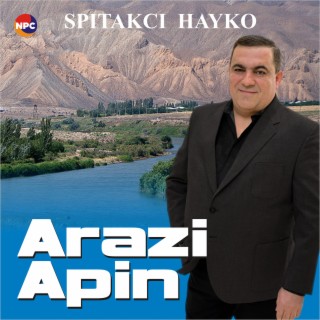 Arazi Apin