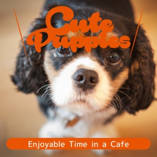 Enjoyable Time in a Cafe