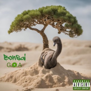 Bonsai