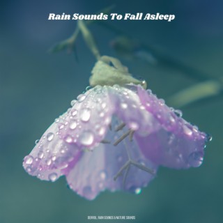 Rain Sounds To Fall Asleep