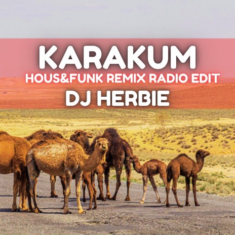 Karakum (Hous&Funk Remix radio edit) | Boomplay Music