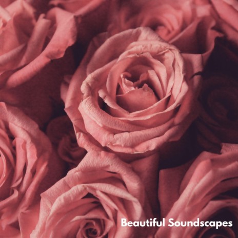 Beautiful Soundscapes | Boomplay Music