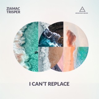 I CAN'T REPLACE