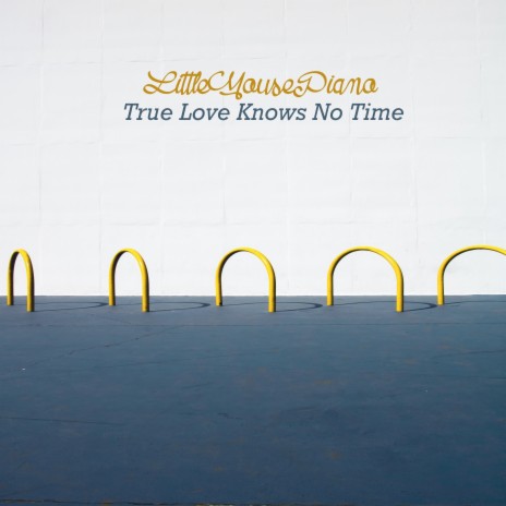 True Love Knows No Time | Boomplay Music