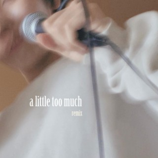 a little too much (Extended Version) lyrics | Boomplay Music