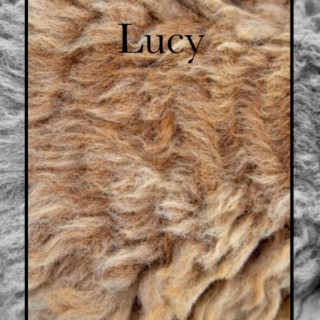 Lucy lyrics | Boomplay Music