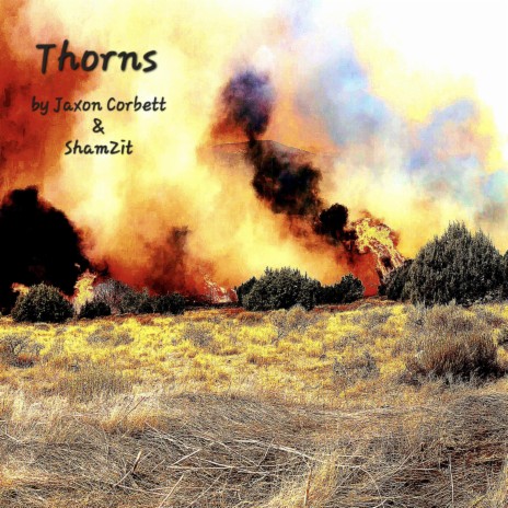 Thorns ft. ShamZit | Boomplay Music