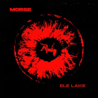 Morse