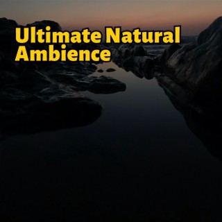 Ultimate Natural Ambience - Soothing New Age Sounds