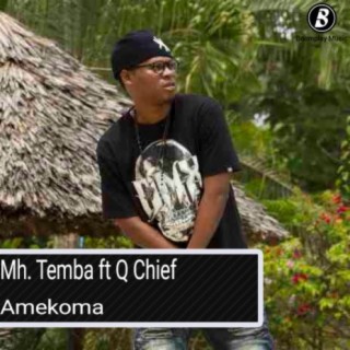 Amekoma ft. Q Chief lyrics | Boomplay Music