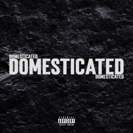 Domesticated ft. Uk Drill & Volition Music | Boomplay Music