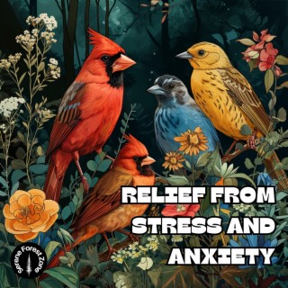 Relief from Stress and Anxiety: a Soothing Meditation Guide