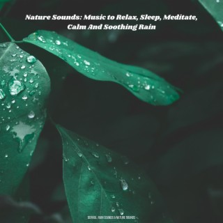 Nature Sounds: Music to Relax, Sleep, Meditate, Calm And Soothing Rain