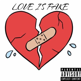 LOVE IS FAKE