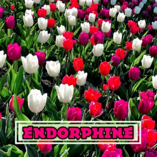 Endorphine