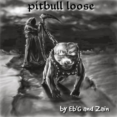 Pitbull loose