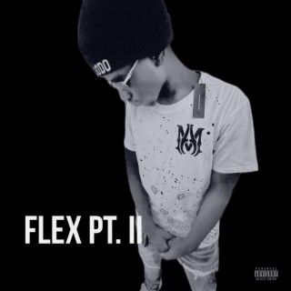 Flex pt ll