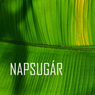 Napsugár (Radio Edit)