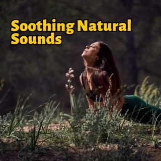 Soothing Natural Sounds for Mindfulness, Relaxation, Yoga and Deep Slumber
