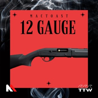 12 Gauge