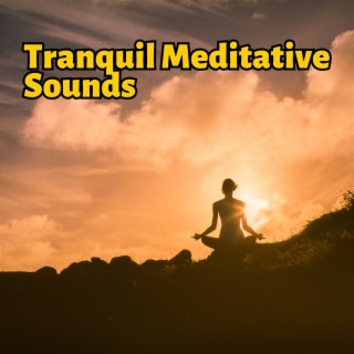 Tranquil Meditative Sounds: a Blend of Zen and Mother Nature's Symphony