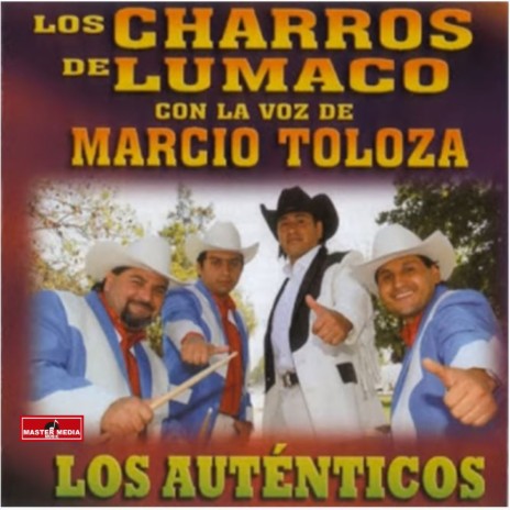 Charros Lumaco - Paloma Nido MP3 Download & Lyrics | Boomplay
