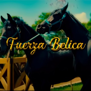 Fuerza Belica