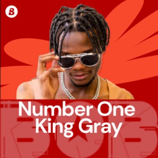 Focus：Number One King Gray