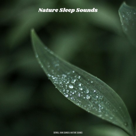 Rain Sound Wave ft. Rain Sounds & Nature Sounds