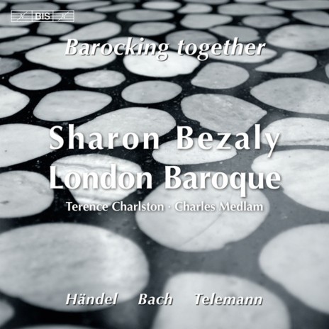 Flute Sonata in E Major, BWV 1035: II. Allegro ft. Charles Medlam & Terence R. Charlston | Boomplay Music