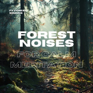 Forest Noises for Calm Meditation