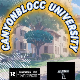 Canyonblocc University