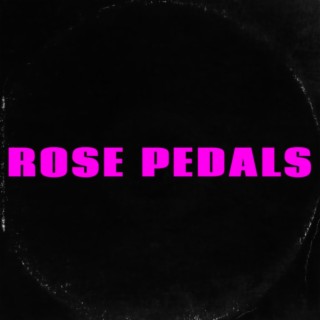 Rose Pedals Beat Pack