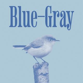 blue-gray